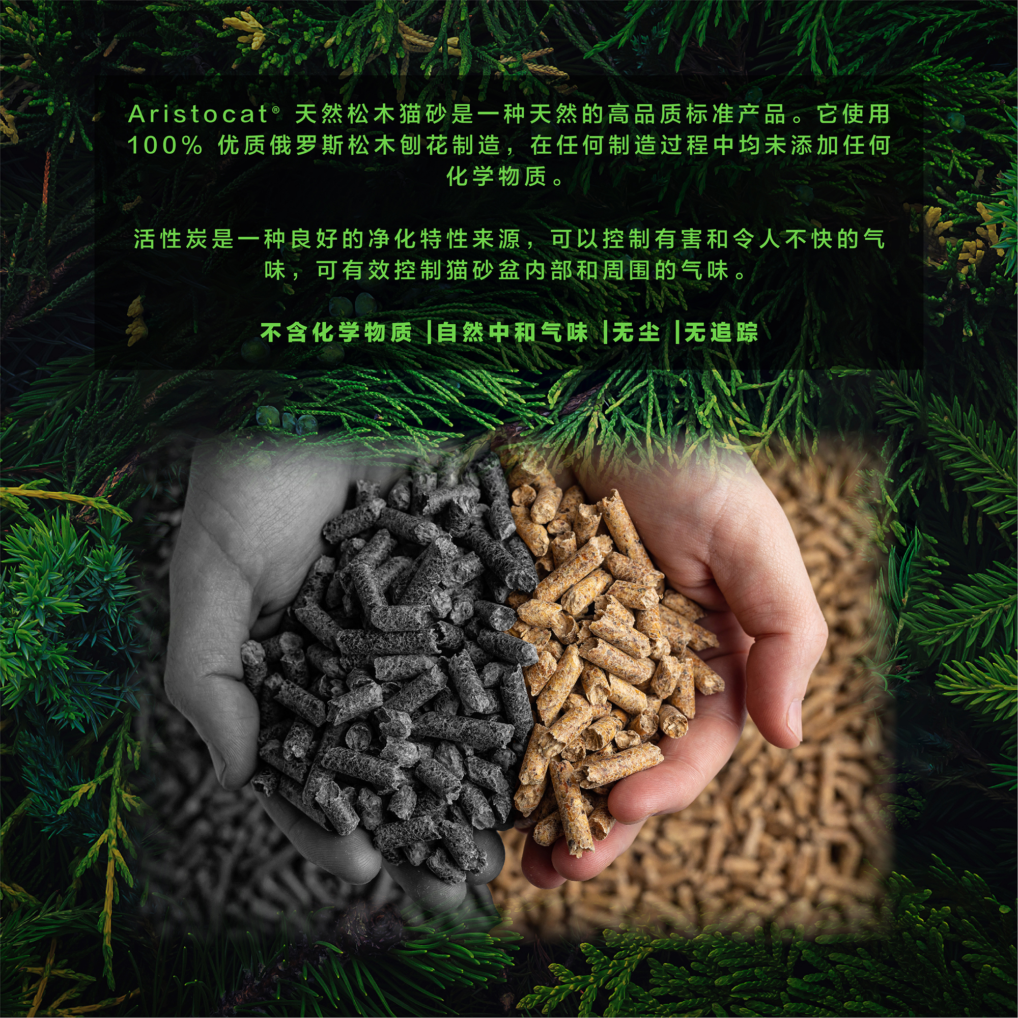 AC Cat Litter-Pine Web Post-C-02.jpg